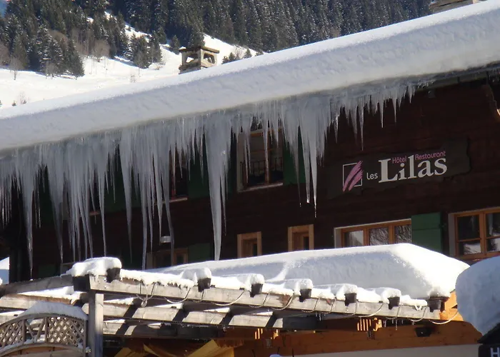 Restaurant Les Lilas 3*